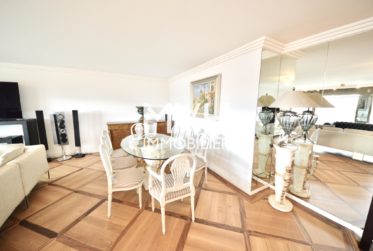 Attique meublé 270 m2 terrasses avec vues Jet d'eau et Mont-blanc