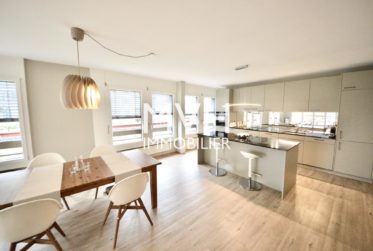 Appartement meublé moderne 6 Pièces proche ONU