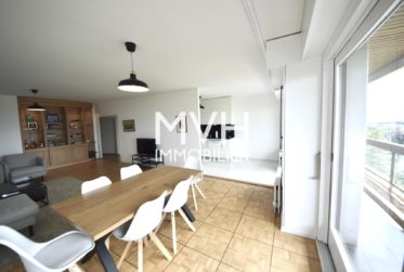 Appartement rénové 9ème étage avec vue Jet d'eau et Montblanc