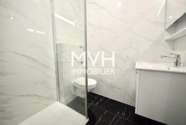 Appartement rénové 9ème étage avec vue Jet d'eau et Montblanc