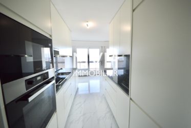 Appartement rénové 9ème étage avec vue Jet d'eau et Montblanc