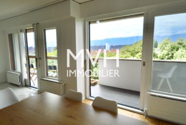 Appartement rénové 9ème étage avec vue Jet d'eau et Montblanc