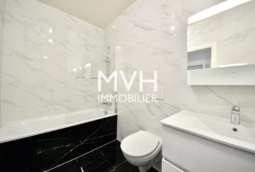 Appartement rénové 9ème étage avec vue Jet d'eau et Montblanc