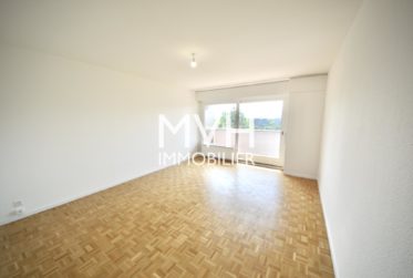 Appartement rénové 9ème étage avec vue Jet d'eau et Montblanc