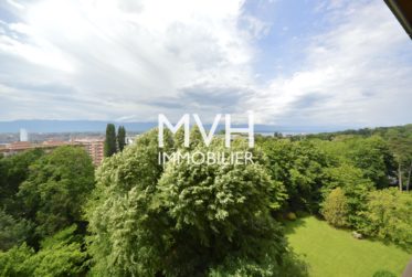 Appartement rénové 9ème étage avec vue Jet d'eau et Montblanc