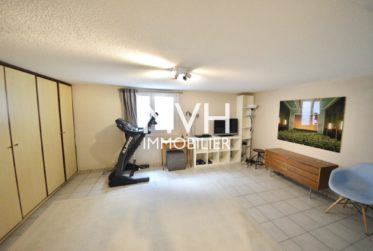 Maison meublée 5.5 Pièces proche Carouge