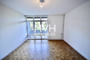 Appartement lumineux 4 pièces avec piscine sur le toit proche ONU