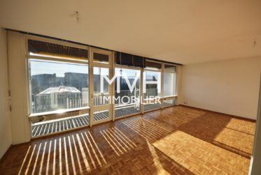Appartement lumineux 4 pièces avec piscine sur le toit proche ONU