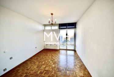 Appartement lumineux 4 pièces avec piscine sur le toit proche ONU