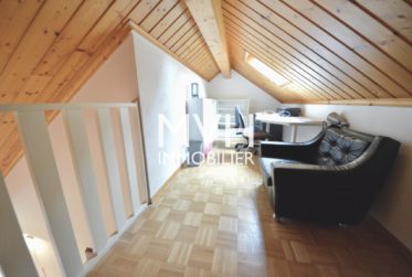 Maison meublée 5.5 Pièces proche Carouge