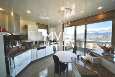 Splendide attique 270 m2 terrasses avec vues Jet d'eau et Mont-blanc
