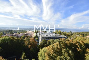 Splendide attique 270 m2 terrasses avec vues Jet d'eau et Mont-blanc