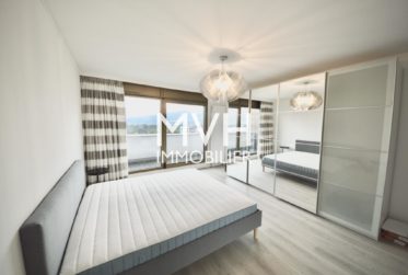 Splendide attique 270 m2 terrasses avec vues Jet d'eau et Mont-blanc