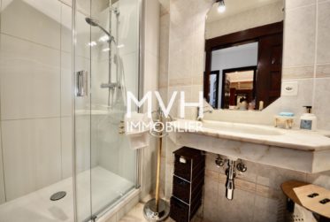 Splendide attique 270 m2 terrasses avec vues Jet d'eau et Mont-blanc