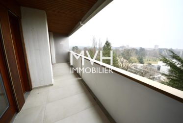 Appartement rénové 9ème étage avec vue sur le Mont-blanc