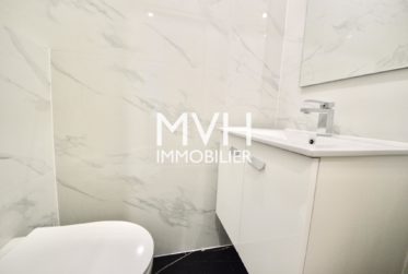 Appartement rénové 9ème étage avec vue sur le Mont-blanc