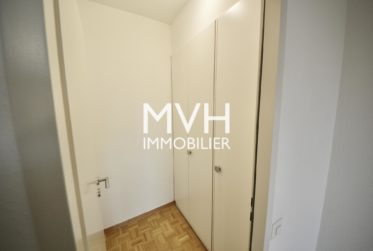 Appartement rénové 9ème étage avec vue sur le Mont-blanc