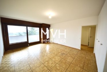 Appartement rénové 9ème étage avec vue sur le Mont-blanc