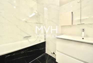 Appartement rénové 9ème étage avec vue sur le Mont-blanc