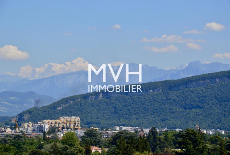 Appartement rénové 9ème étage avec vue sur le Mont-blanc