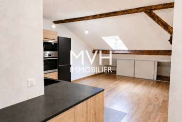 Appartement en attique avec terrasse proche du Rhône