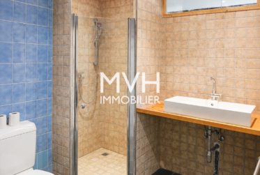 Appartement en attique avec terrasse proche du Rhône