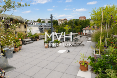 Appartement en attique avec terrasse proche du Rhône