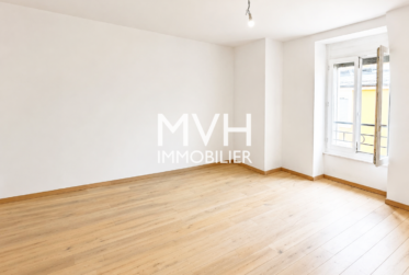 Appartement en attique avec terrasse proche du Rhône