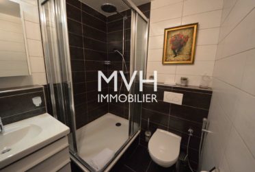 Appartement meublé dans magnifique parc