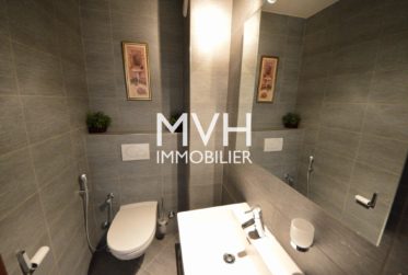 Appartement meublé dans magnifique parc