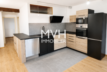 Appartement en attique avec terrasse proche du Rhône