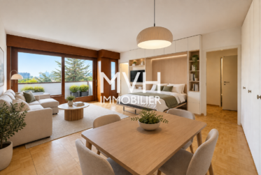 Appartement rénové 9ème étage avec vue sur le Mont-blanc